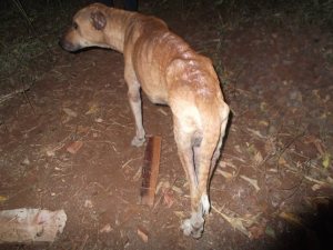 10584073_701057926634136_6189662734157372488_n