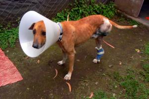 10599194_747441951969198_7188614648241985120_n