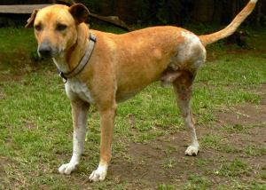 10647008_757059854340741_4331985976635446765_n