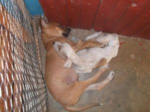 10382836_679341198805809_5830654300700425514_n