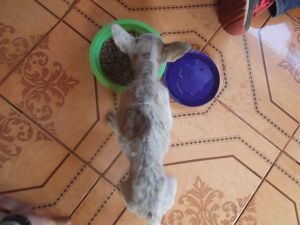 10390335_10152982129406632_1978074548293008418_n