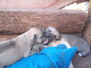 10420221_717829571623638_9207893556543501091_n