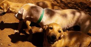 10450262_771215796285015_258385262162020065_o