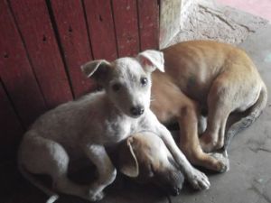 10488067_679341135472482_3714668290672597240_n