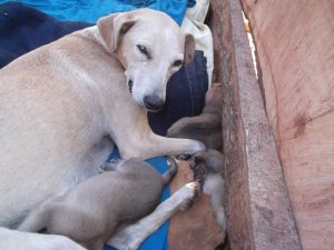 10606139_717764204963508_4810170637627847485_n