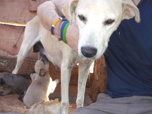 10632806_720070458066216_6628773632022078696_n