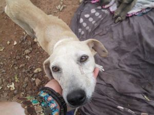 10653346_717749204965008_4818882591953618394_n