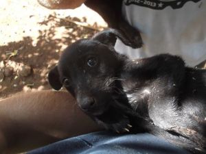 61390_696012537138675_4405954950847179303_n